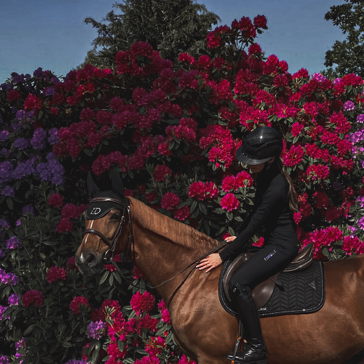 Estrelle Black Diamond Schabracke Jumping