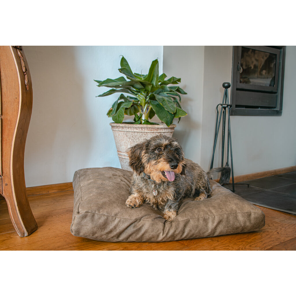 Let's Sleep Plüschkissen Hundebett
