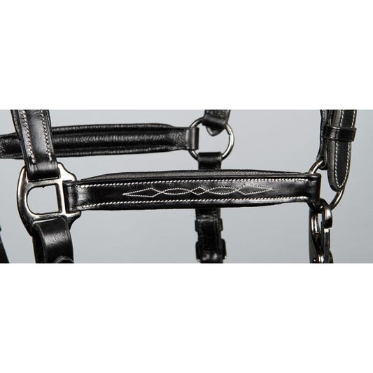 anatomisches Lederhalfter "Supreme"