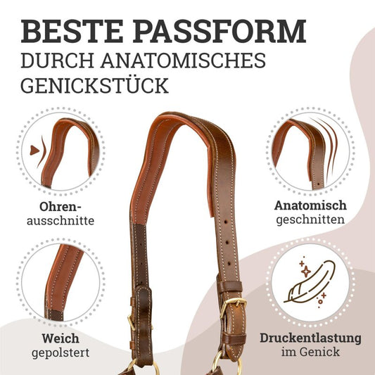 Lederhalfter "Deluxe" anatomisch Fettleder Braun