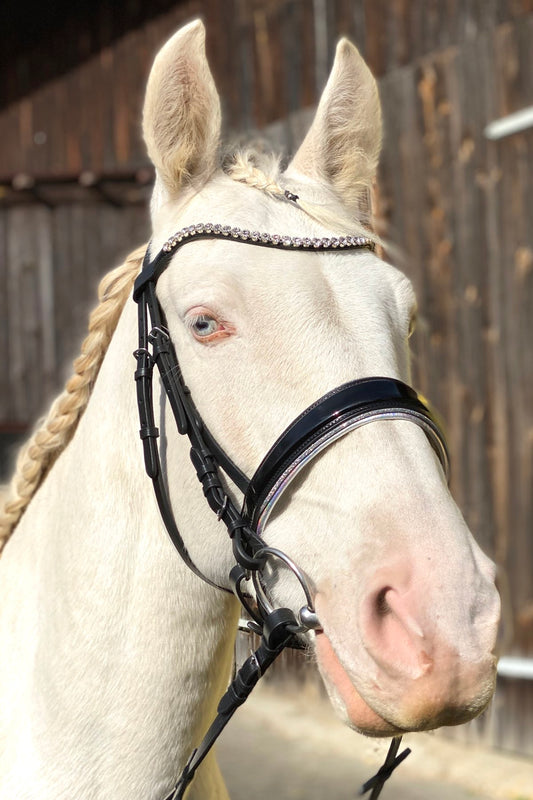 Schwedischer Trensenzaum, schwarz, glitzer, inklusive Zügel mit Grip, Reithalfter ohne Sperriemen,