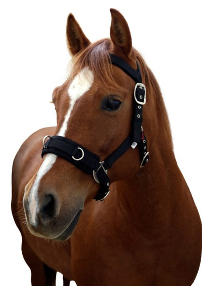 Longierhalfter weich unterlegt schwarz,