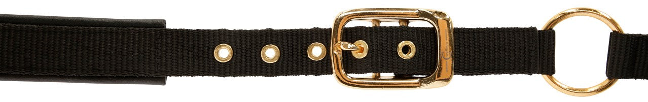 Gepolstertes Halfter mit goldfarbenen Schnallen schwarz-gold,
