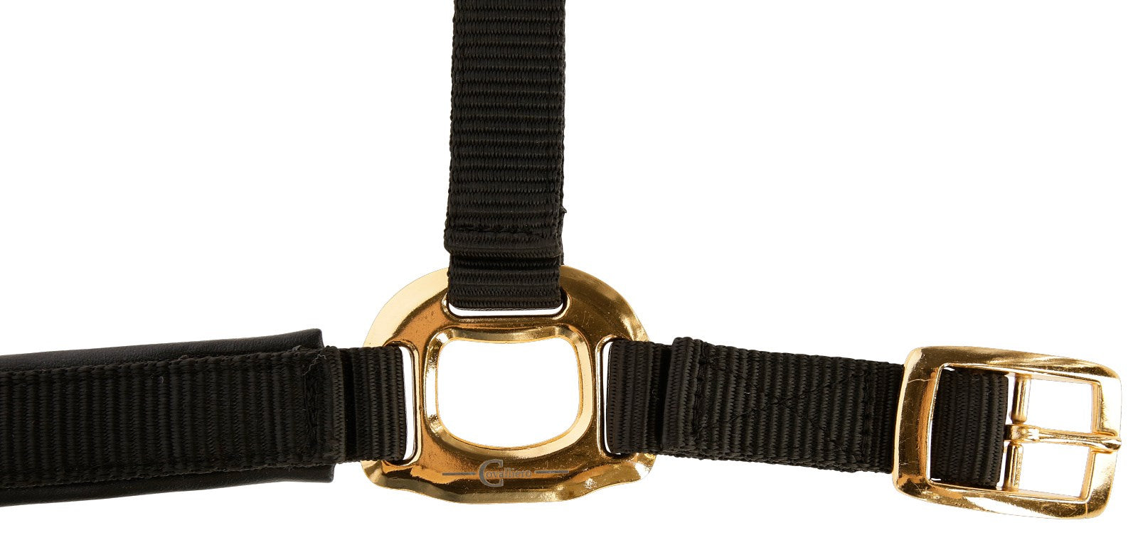 Gepolstertes Halfter mit goldfarbenen Schnallen schwarz-gold,