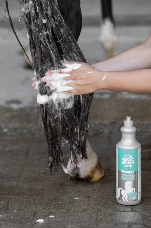 Pferdeshampoo mit Weizenproteinen MagicBrush,