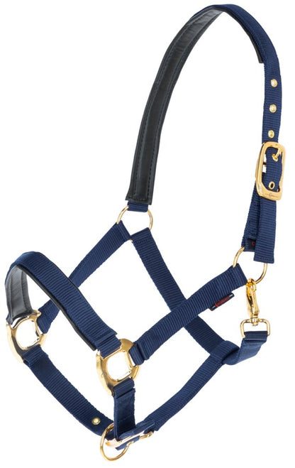 Gepolstertes Halfter mit goldfarbenen Schnallen royalblau-gold,