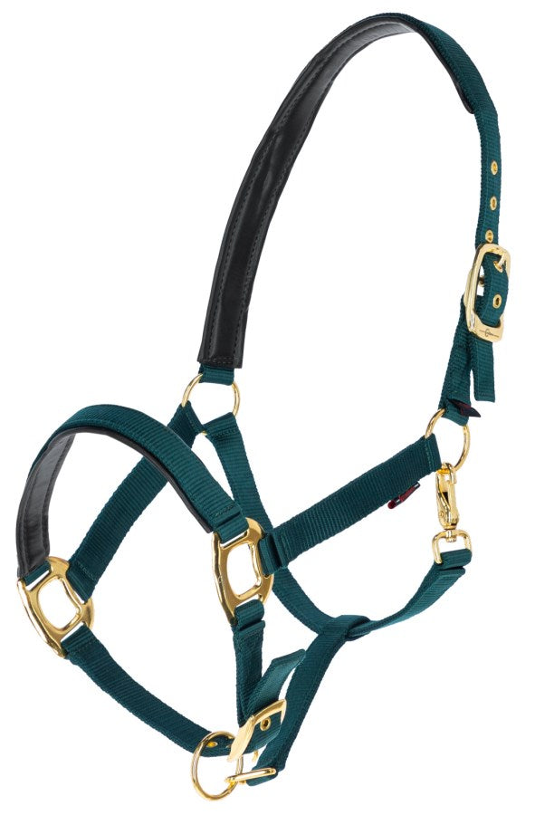 Gepolstertes Halfter mit goldfarbenen Schnallen waldgrün-gold,