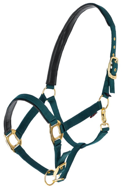 Gepolstertes Halfter mit goldfarbenen Schnallen waldgrün-gold,