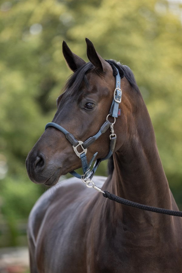 Halfter mit Webpelz-Polsterung Cordano smoked-blue,