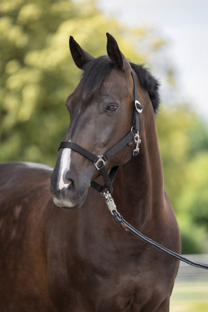 Nylonhalfter in verschiedenen Farben schwarz