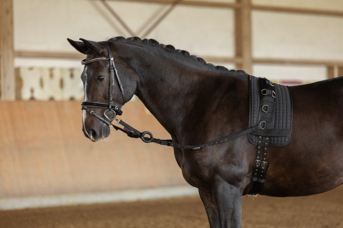 Ausbindezügel schwarz,