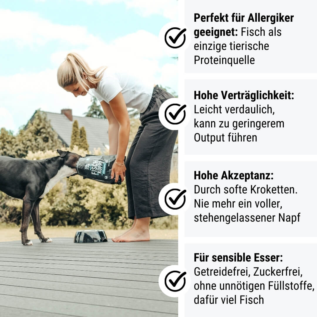 Noch ganz Fisch im Kopp? Softes Trockenfutter - Hundefutter mit Fisch