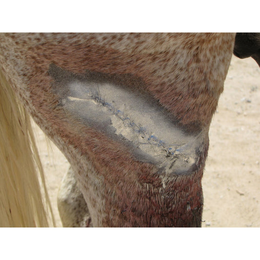 Excellent Aluminium Spray