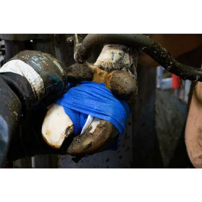 Excellent Bandage Animal Profi 10 cm versch. Farben