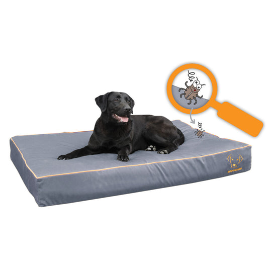 Bodyguard Royal Bett Grau S