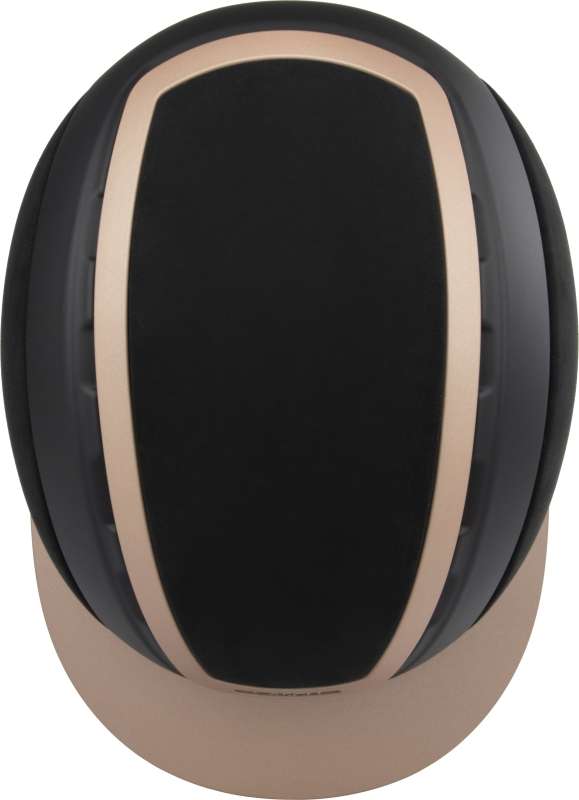 ELITE, Paladin Champaign