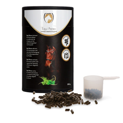 Excellent Horse Parex