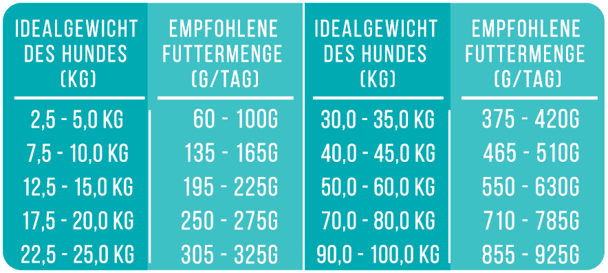 Noch ganz Fisch im Kopp? Softes Trockenfutter - Hundefutter mit Fisch