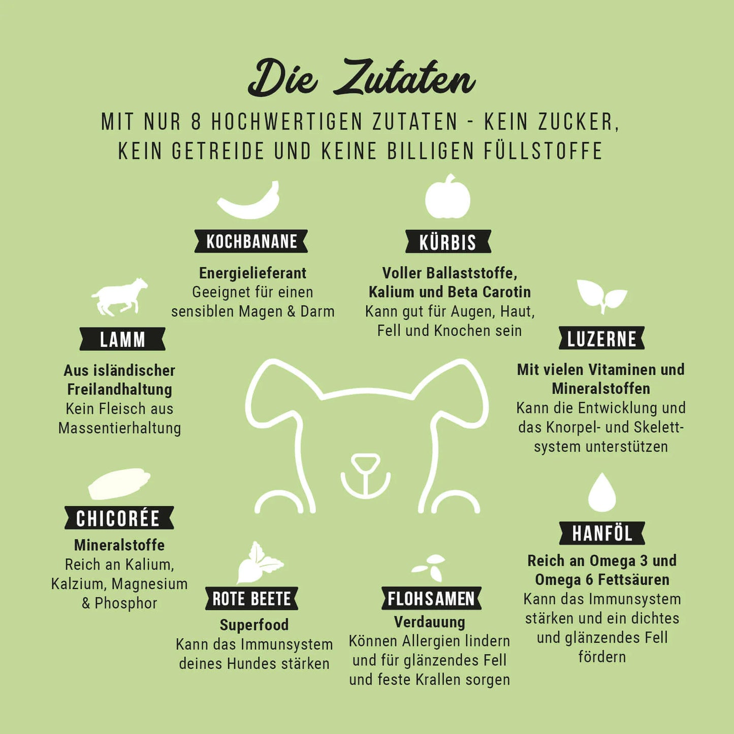 LammSam hab ich Hunger - Softes Trockenfutter für Welpen mit Lamm