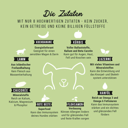 LammSam hab ich Hunger - Softes Trockenfutter für Welpen mit Lamm