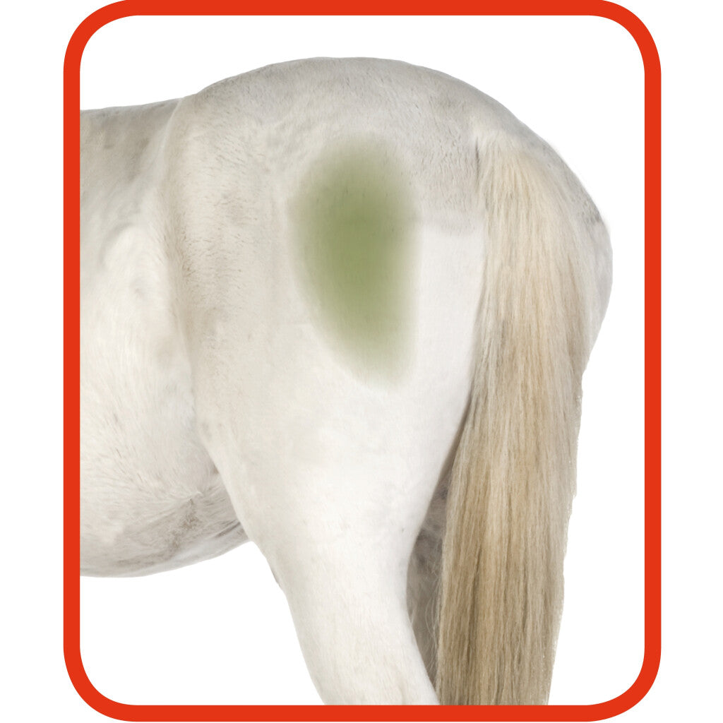 Excellent Horse Hi Gloss Clean Spray 500 ml