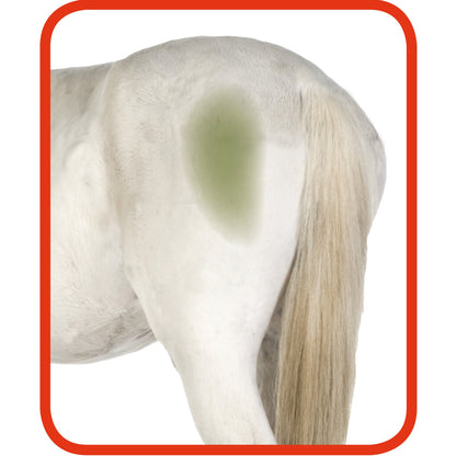 Excellent Horse Hi Gloss Clean Spray 500 ml