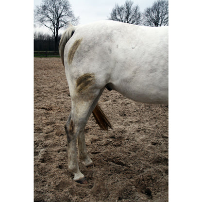 Excellent Horse Hi Gloss Clean Spray 500 ml