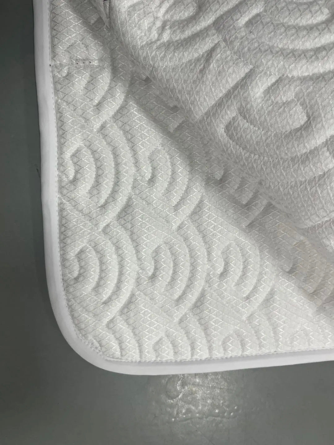 Estrelle Ocala Schabracke Jumping