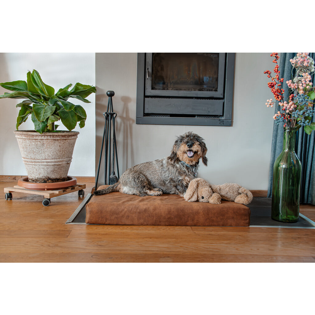 Let's Sleep Orthopädisches Hundebett