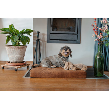 Let's Sleep Orthopädisches Hundebett