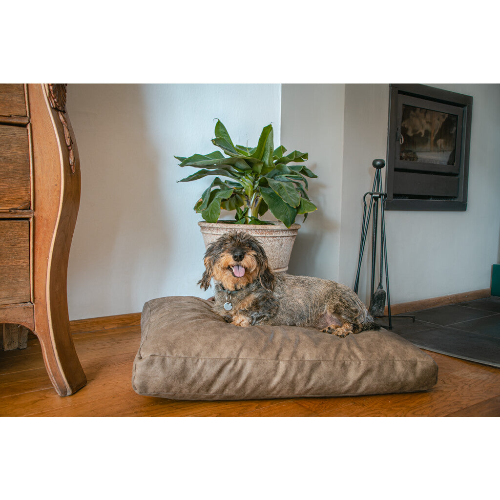 Let's Sleep Plüschkissen Hundebett