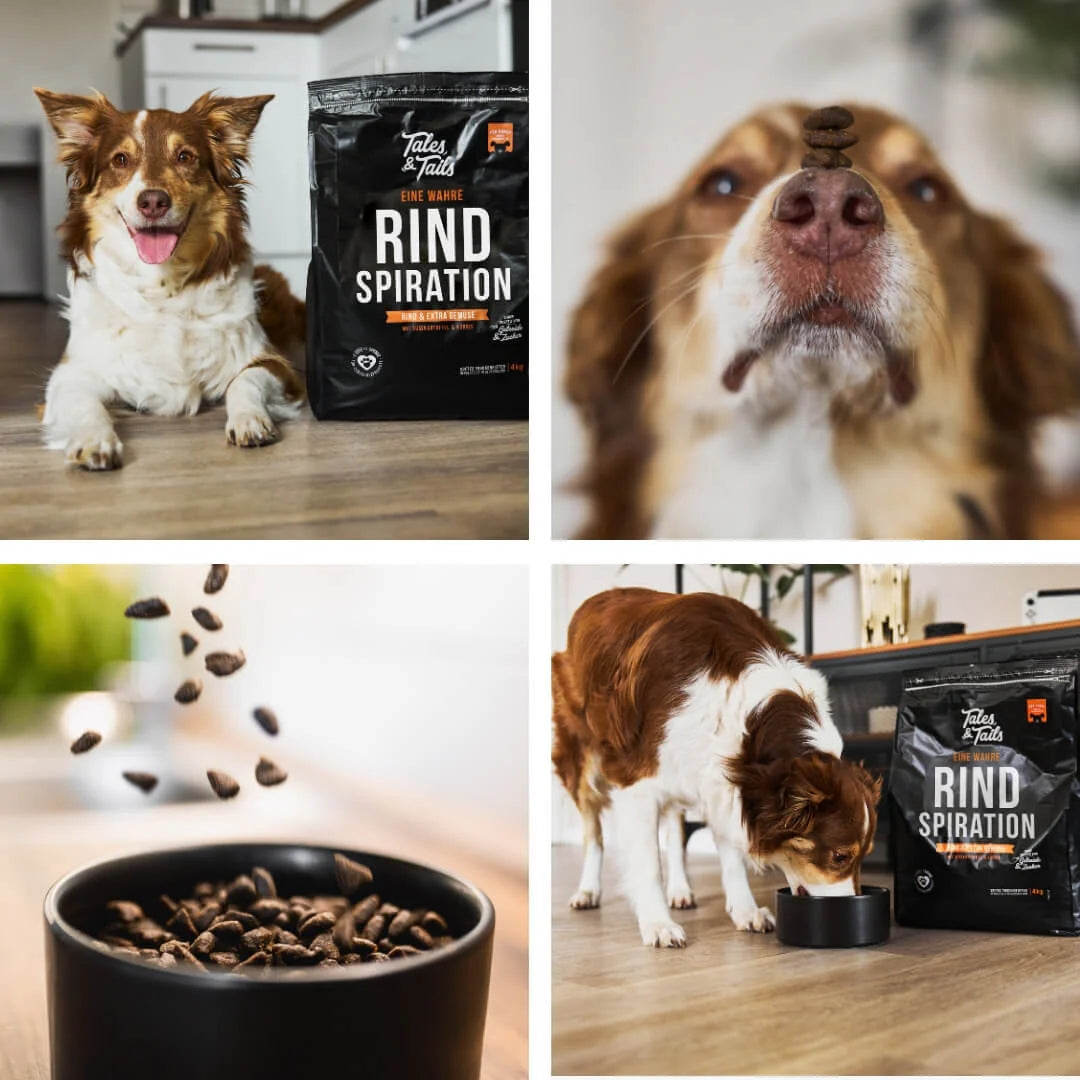 Eine wahre Rindspiration - Softes Trockenfutter - Hundefutter mit Rind