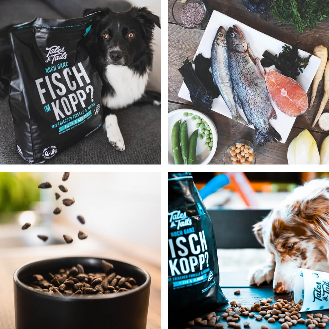 Noch ganz Fisch im Kopp? Softes Trockenfutter - Hundefutter mit Fisch