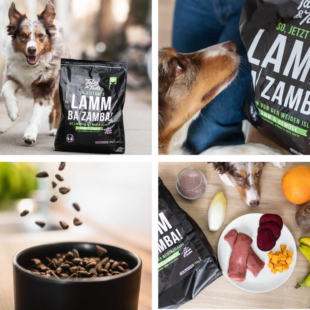 LammBa Zamba! - Softes Trockenfutter - Hundefutter mit Lamm