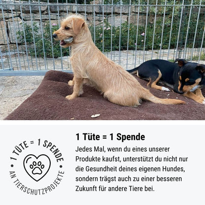 Eine wahre Rindspiration - Softes Trockenfutter - Hundefutter mit Rind