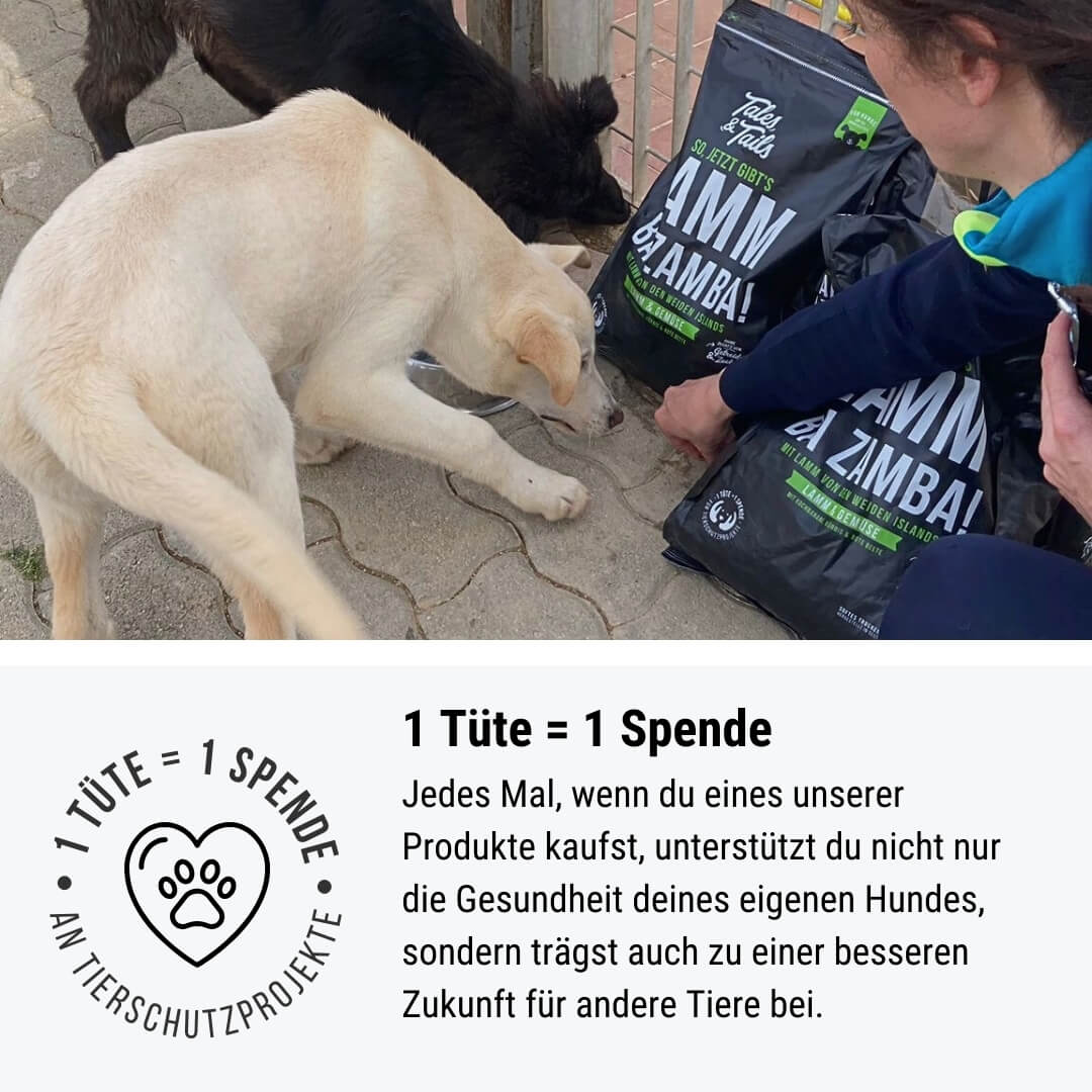 Noch ganz Fisch im Kopp? Softes Trockenfutter - Hundefutter mit Fisch