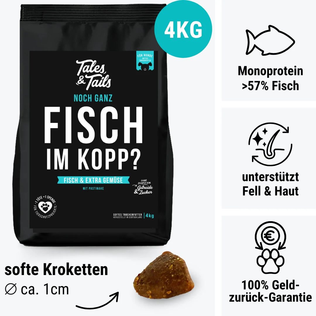 Noch ganz Fisch im Kopp? Softes Trockenfutter - Hundefutter mit Fisch
