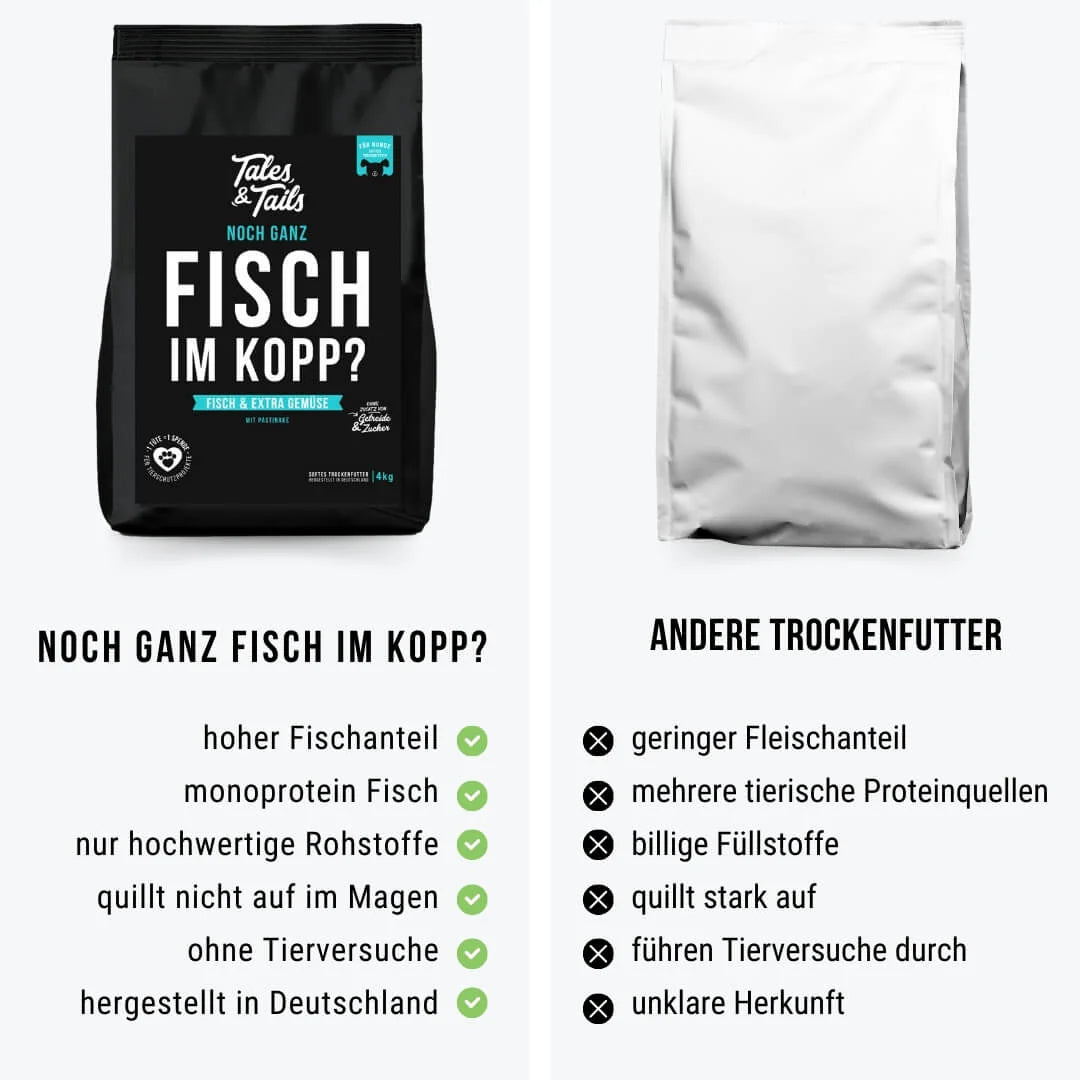 Noch ganz Fisch im Kopp? Softes Trockenfutter - Hundefutter mit Fisch