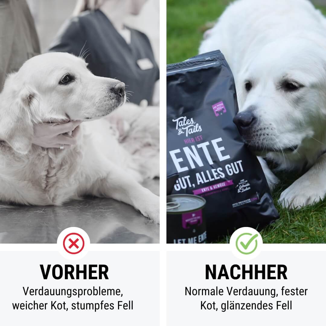 Ente gut, alles gut - Softes Trockenfutter - Hundefutter mit Ente