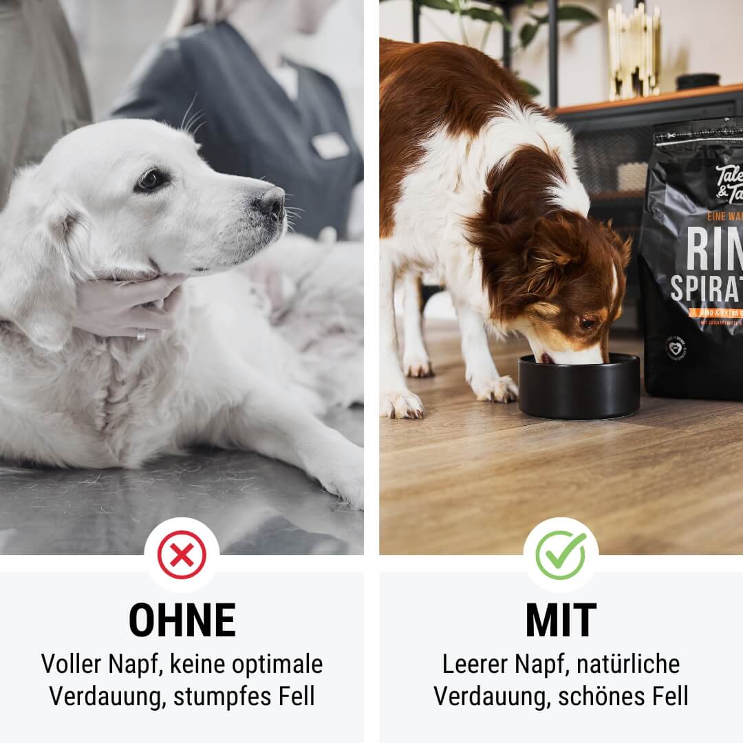 Eine wahre Rindspiration - Softes Trockenfutter - Hundefutter mit Rind