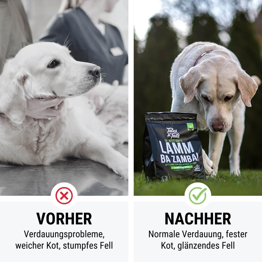 LammBa Zamba! - Softes Trockenfutter - Hundefutter mit Lamm