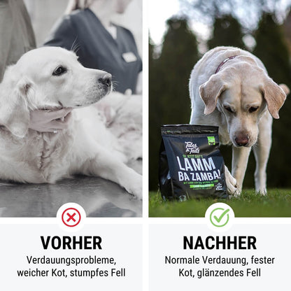 LammBa Zamba! - Softes Trockenfutter - Hundefutter mit Lamm