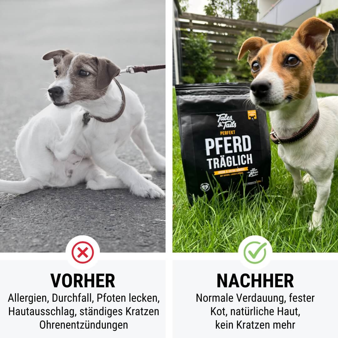 Perfekt PferdTräglich - Softes Trockenfutter - Hundefutter mit Pferd
