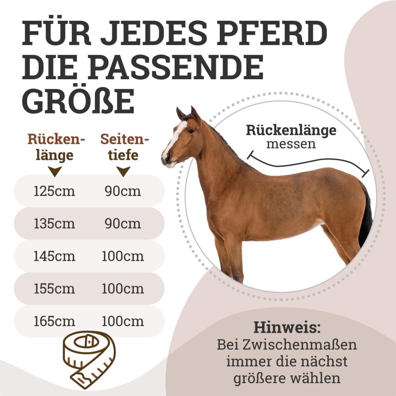 Abschwitzdecke "Champion Edition" Fleecedecke mit Kragen und Zierpaspel, Paradedecke, Showdecke