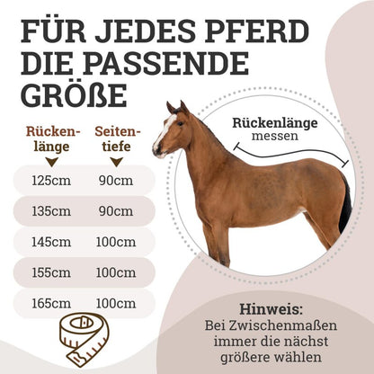 Abschwitzdecke "Champion Edition" Fleecedecke mit Kragen und Zierpaspel, Paradedecke, Showdecke