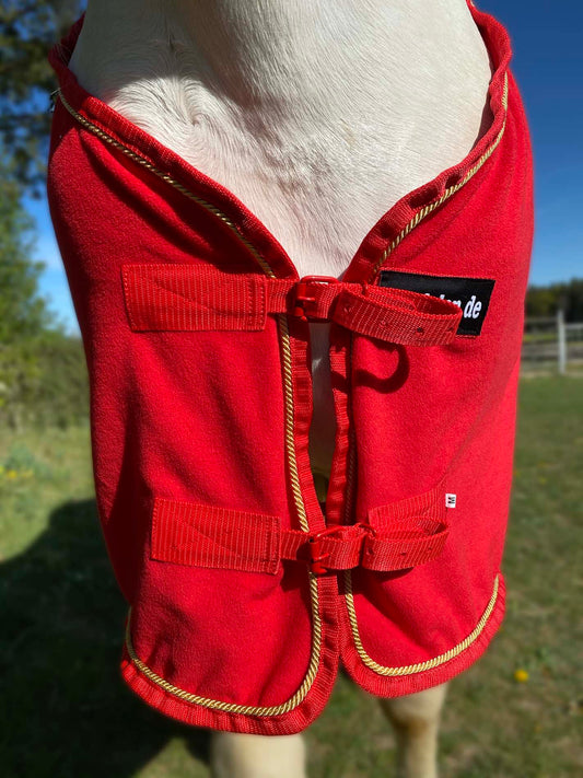 Abschwitzdecke mit Glitzerstreifen, Fleecedecke in rot, Pferdedecke, goldene Kordel,