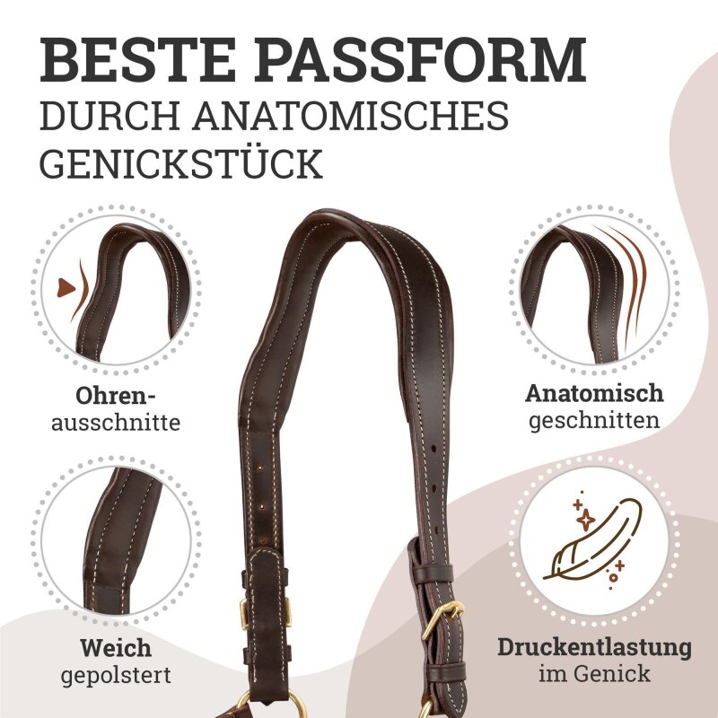 Lederhalfter "Deluxe" anatomisch Schoko Braun