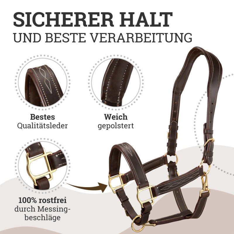 Lederhalfter "Deluxe" anatomisch Schoko Braun