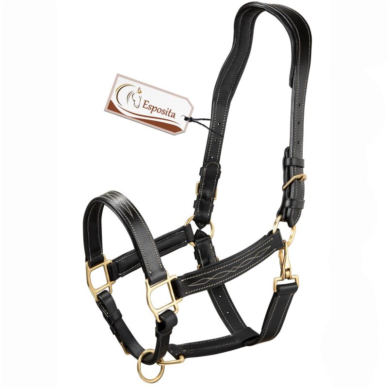 Lederhalfter "Deluxe" anatomisch Schwarz