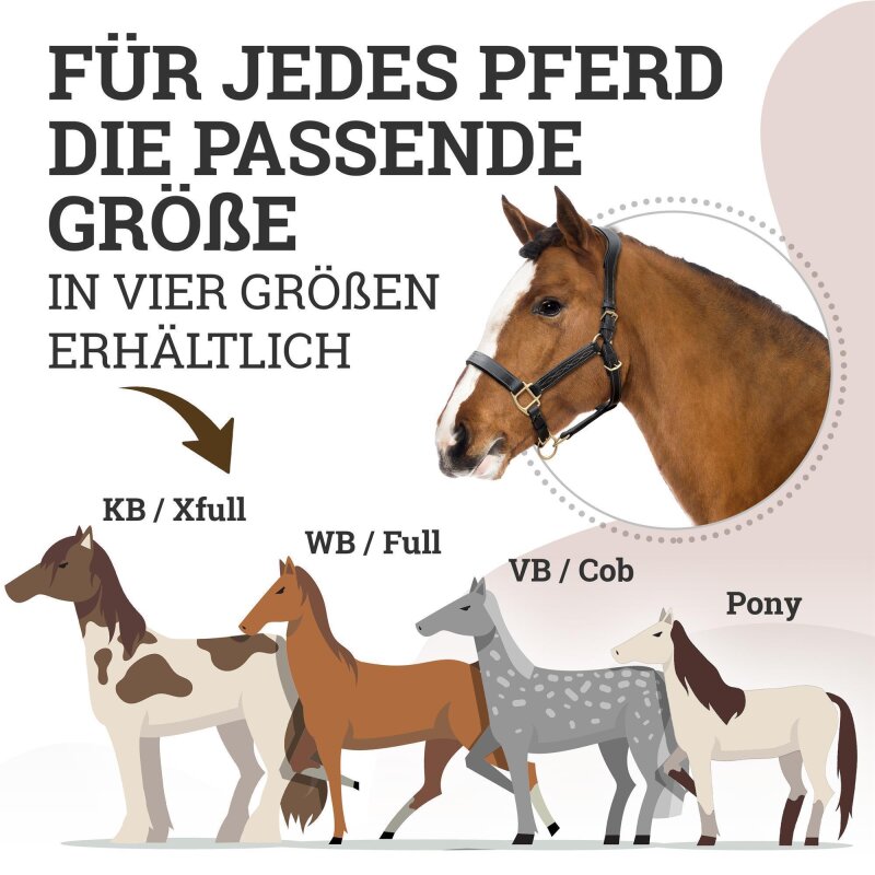 Lederhalfter "Deluxe" anatomisch Schwarz